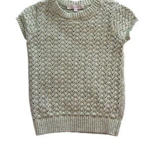 Loft Chevron Mint Green Knit Sweater Top Size XXS